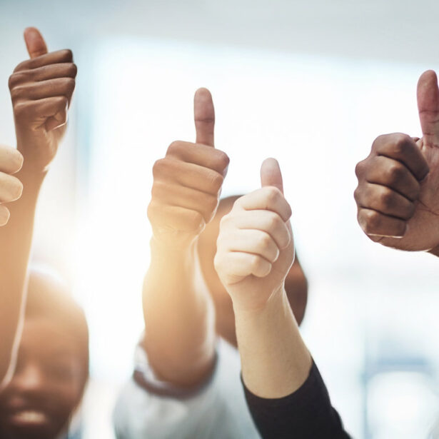 Formation « Appreciative Inquiry » avec Bernard Tollec, Directeur Turningpoint