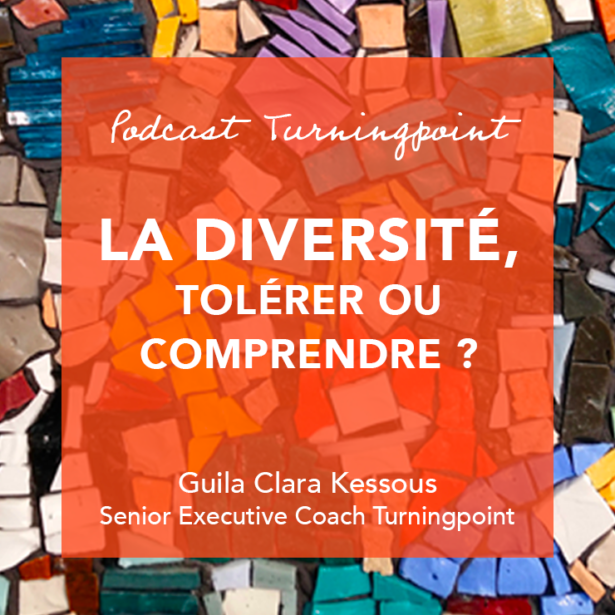 PODCAST#4 : Diversity: tolerate or understand?