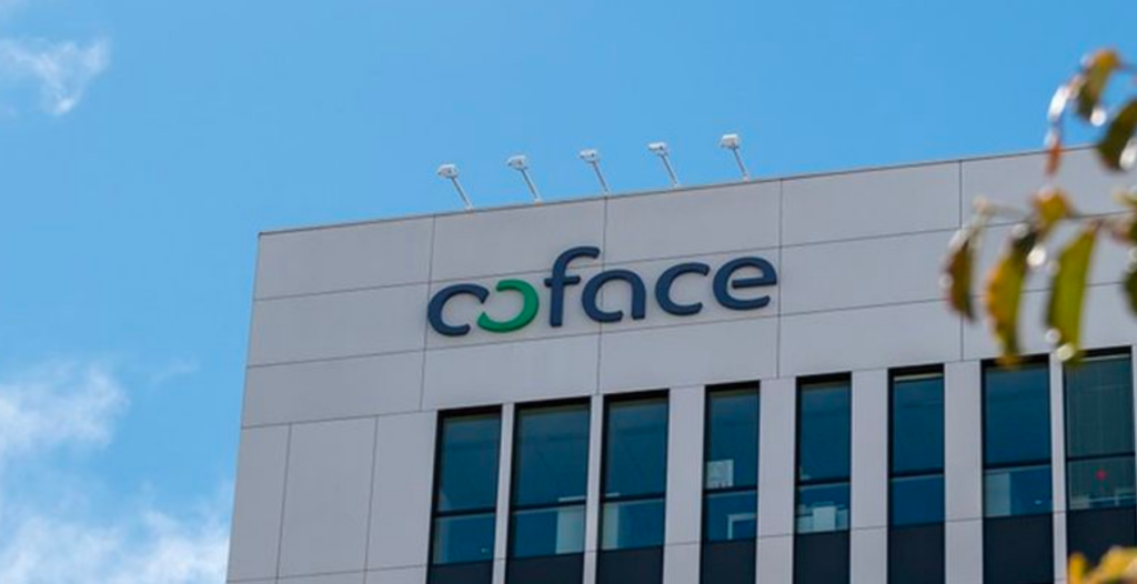 Coface Turningpoint international leadership development consultancy