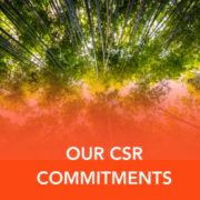 : l’engagement Turningpoint